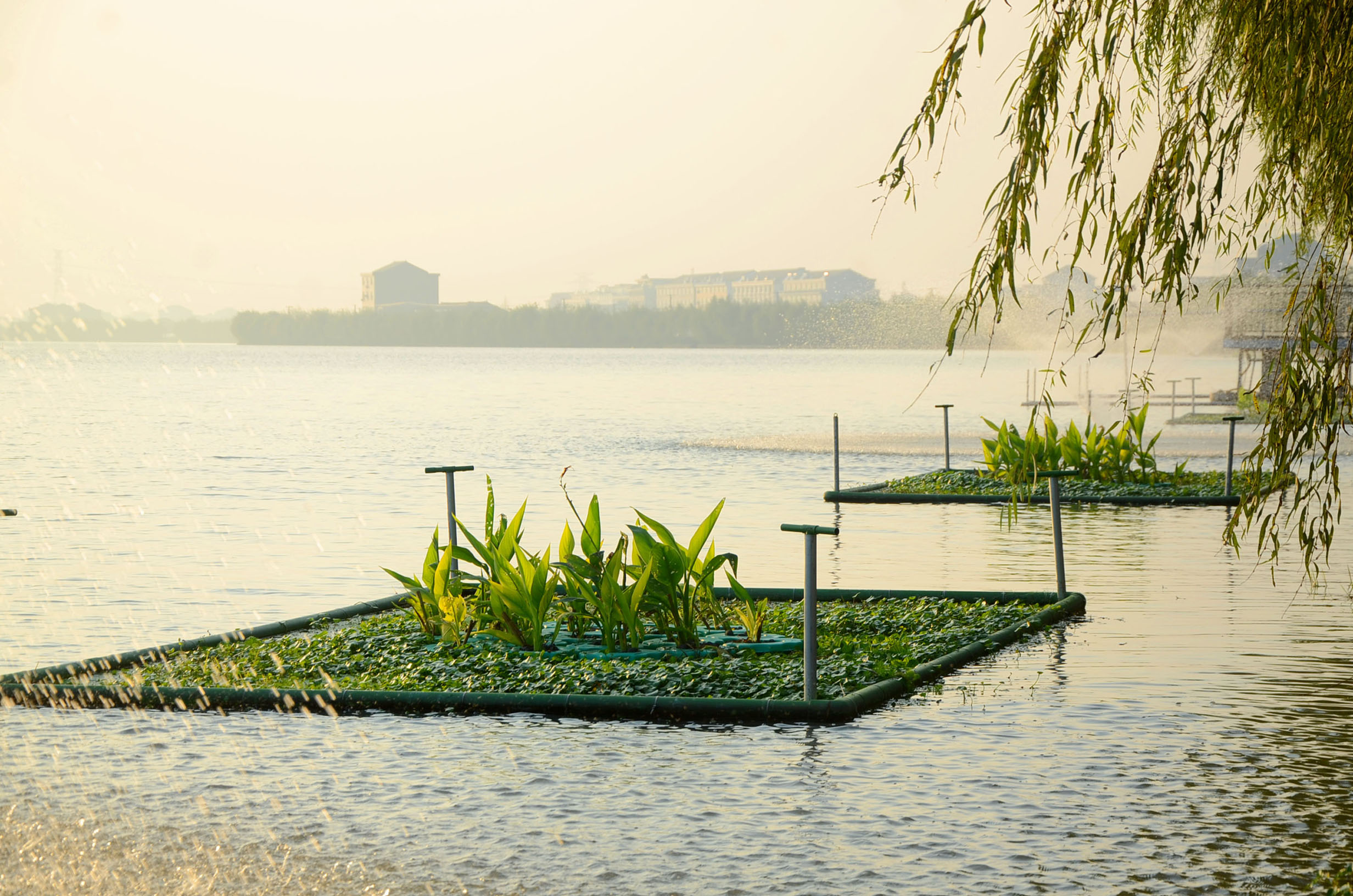 生态治水.jpg 生态治水.jpg