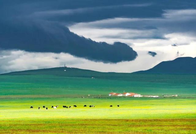 青海.jpg 青海.jpg