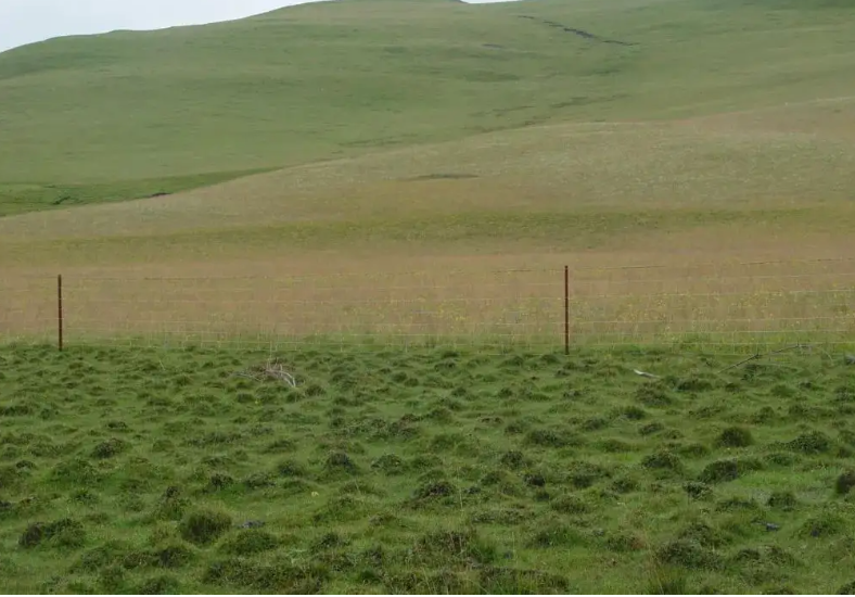 草畜平衡4.png 草畜平衡4.png