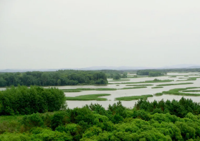 湿地11.png 湿地11.png