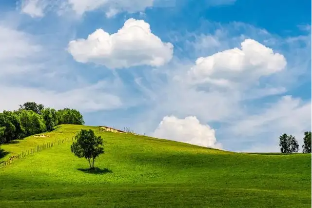 草原9.png 草原9.png