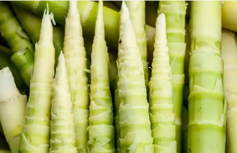 笋竹.png 笋竹.png