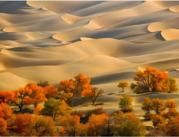 塔克拉玛干沙漠.png 塔克拉玛干沙漠.png