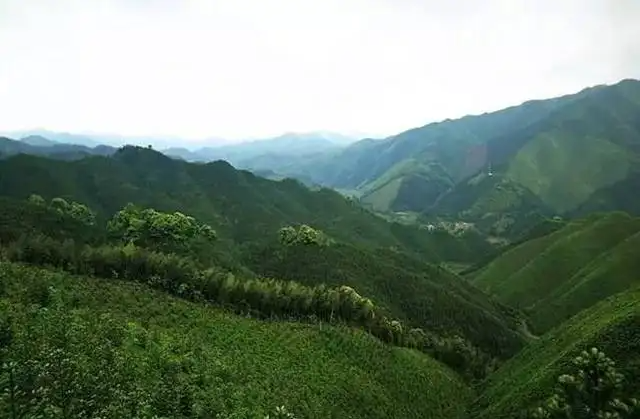 湖南流峰.png