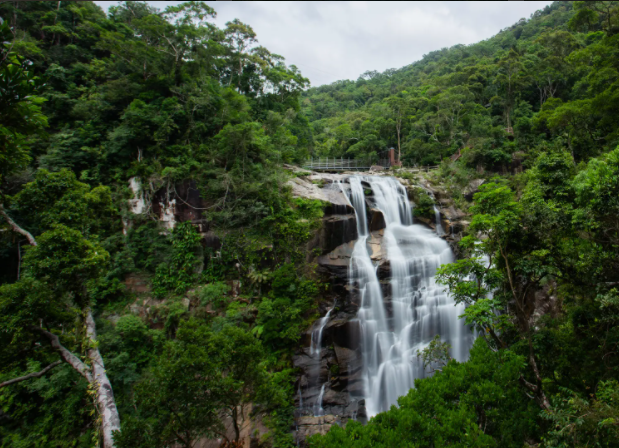 海南热带雨林国家公园.png