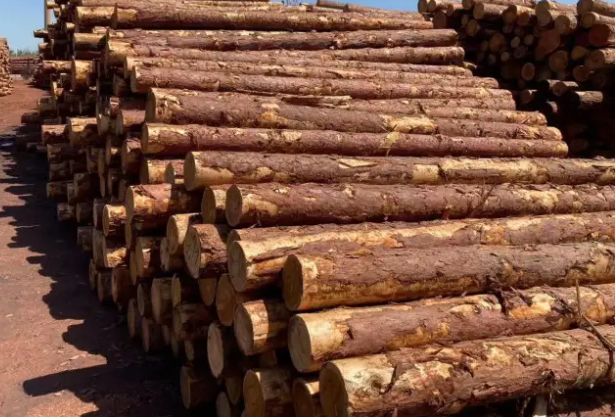 木材销售.png