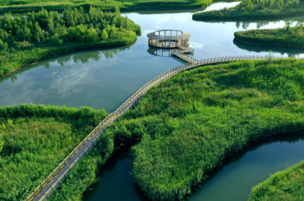 湿地治理2.png 湿地治理2.png