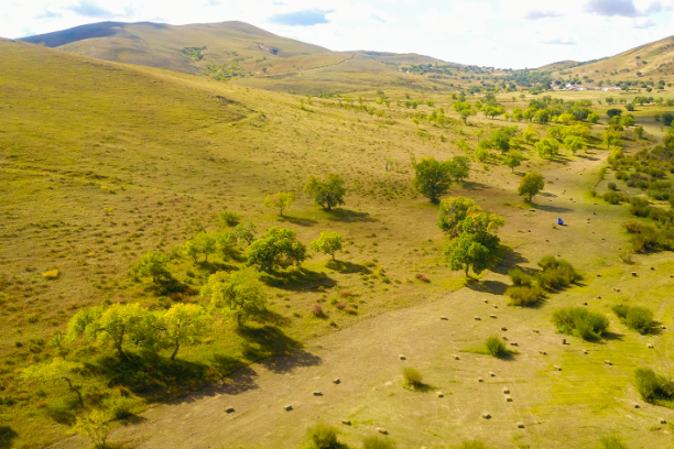 防沙治沙21.png 防沙治沙21.png