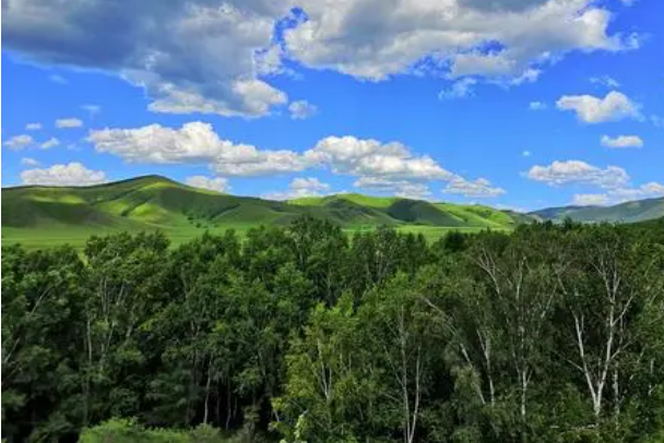 塞罕坝的11.png 塞罕坝的11.png