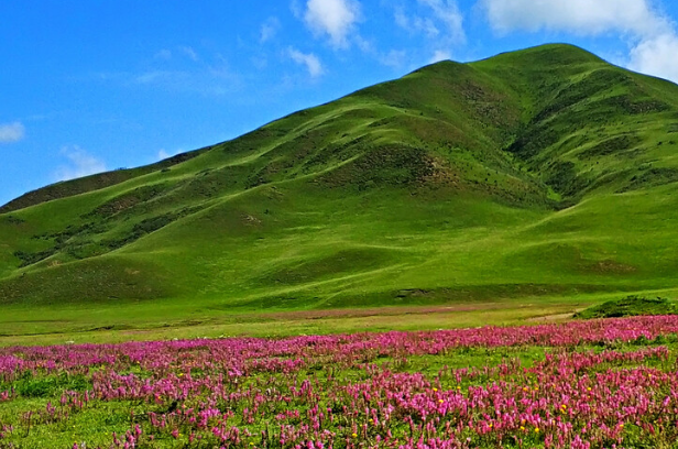 四川阿坝的1 (1).png 四川阿坝的1 (1).png