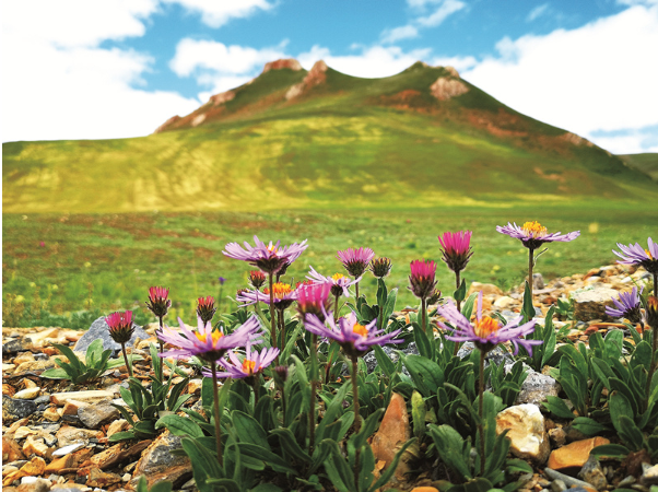 昔日的黑土滩,.png 昔日的黑土滩,.png