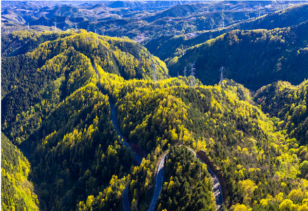 河南卢氏.png 河南卢氏.png