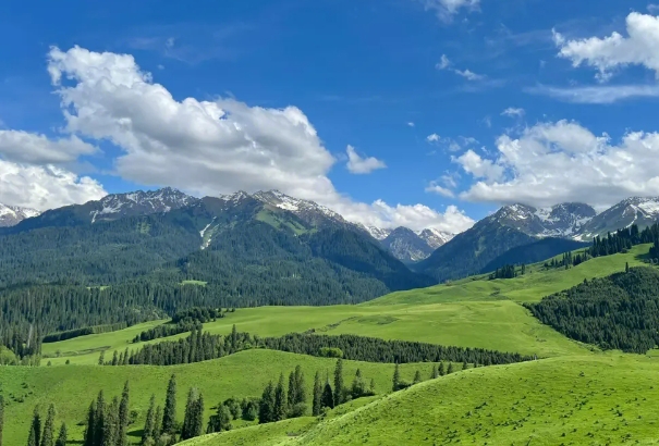 新疆的35.png 新疆的35.png