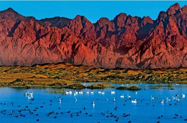 巴彦淖尔的33.png 巴彦淖尔的33.png