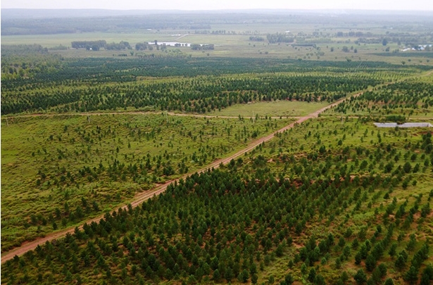 “三北”工程内蒙古.png “三北”工程内蒙古.png