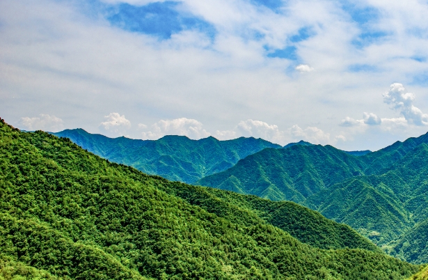 秦岭生态.png