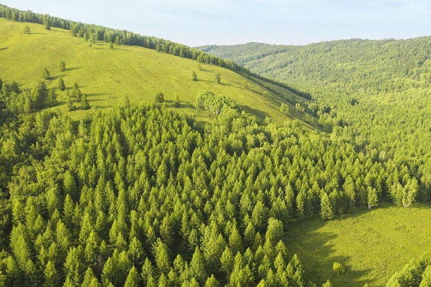 内蒙古森林.png 内蒙古森林.png