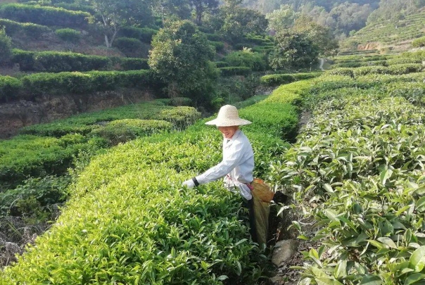 广东省饶平县建饶镇.png 广东省饶平县建饶镇.png