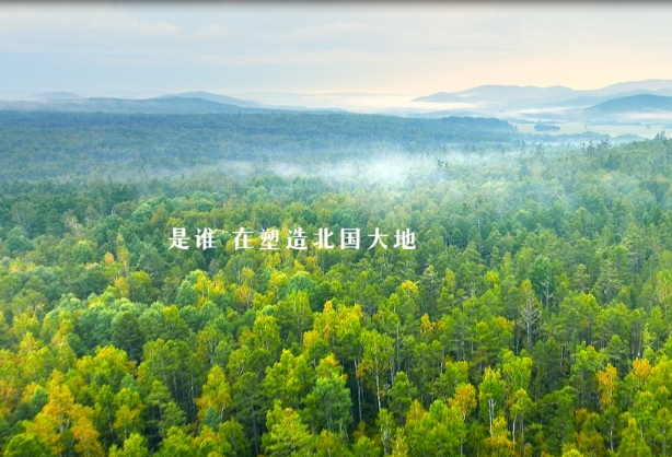 黑龙江.png 黑龙江.png