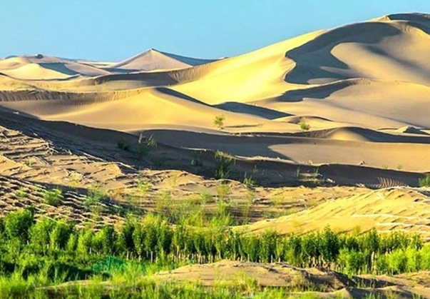 毛乌素沙地1.png 毛乌素沙地1.png