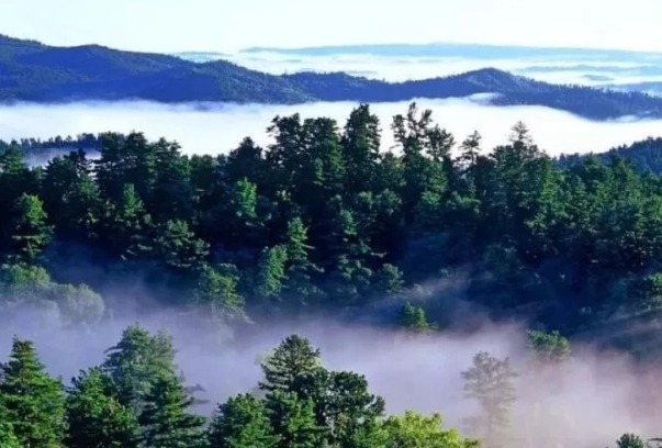 黑龙江的3.png 黑龙江的3.png