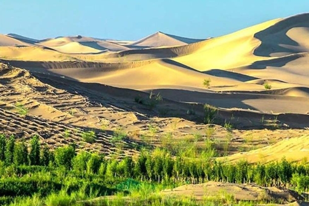 毛乌素沙地44.png 毛乌素沙地44.png