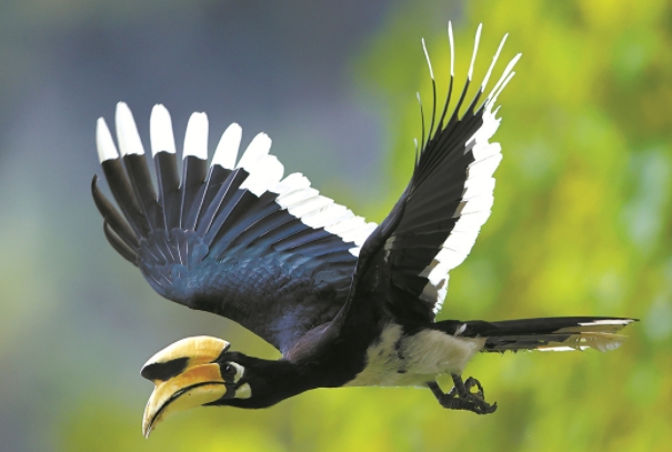 来源:中国绿色时报.png 来源:中国绿色时报.png