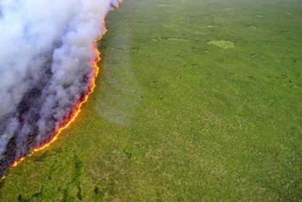 森林草原火灾22.png 森林草原火灾22.png