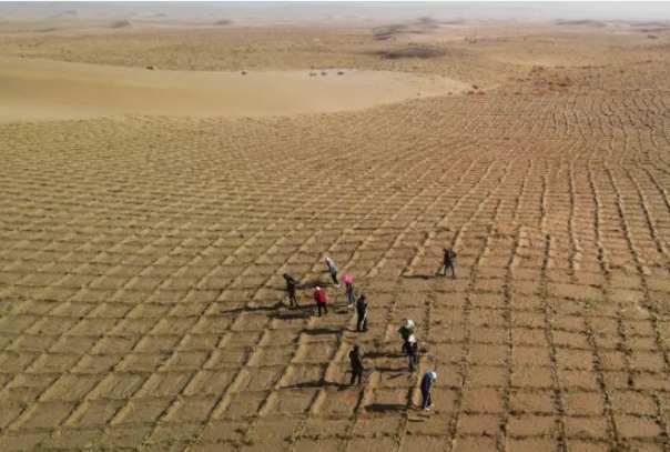 全球荒漠化防治.png