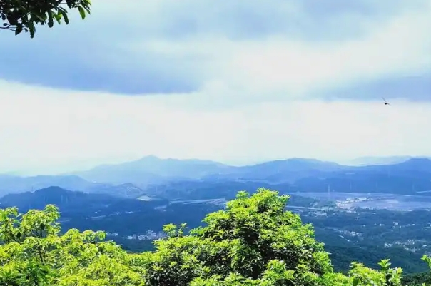 广州帽峰山南粤红绿径.png