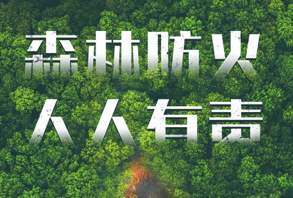 森林草原防火.png