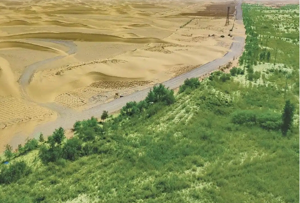 防沙林带44.png 防沙林带44.png