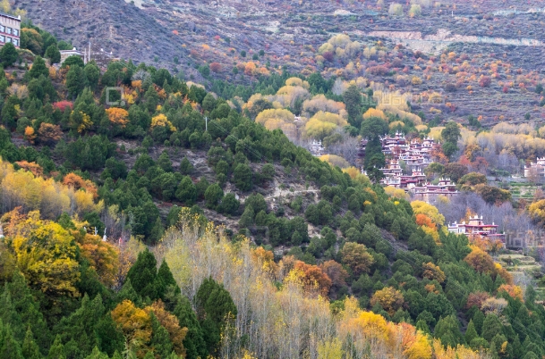 四川甘的222孜.png 四川甘的222孜.png