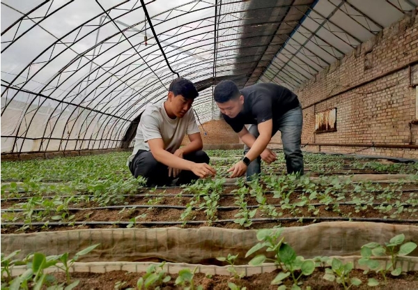 微信截图_20250703170910石健阳(左).png 微信截图_20250703170910石健阳(左).png