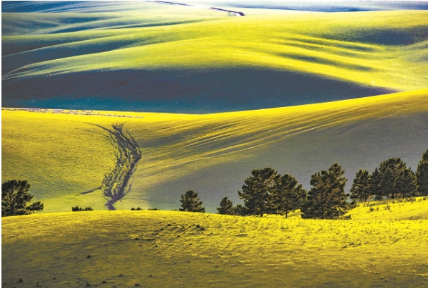 草原的222.png 草原的222.png