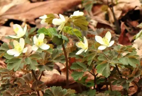 编过.png 编过.png