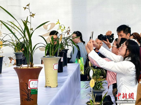 图为第四届南方花卉苗木交易会主会场,1.png 图为第四届南方花卉苗木交易会主会场,1.png