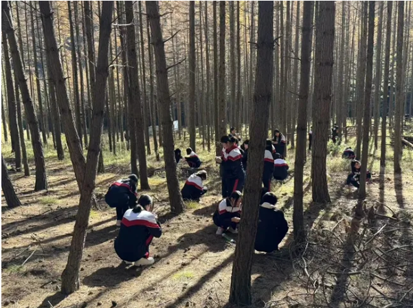 全年活动形式多样、内容丰富,.png 全年活动形式多样、内容丰富,.png