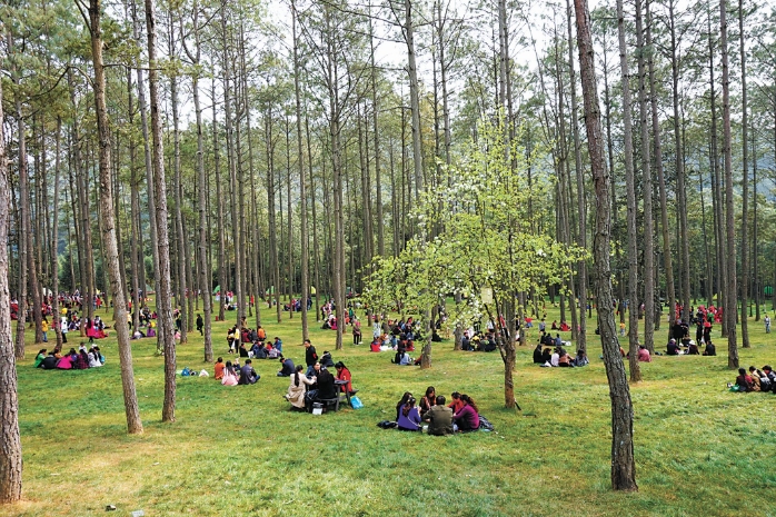 乐享森林氧吧.png 乐享森林氧吧.png