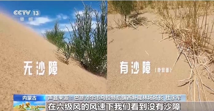 内蒙古巴彦淖尔市乌拉特后旗西补隆林场场长 杜永军：这.png