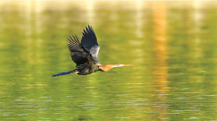 寻觅.png 寻觅.png