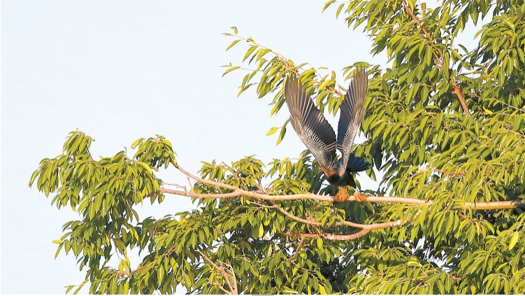 小憩.png 小憩.png