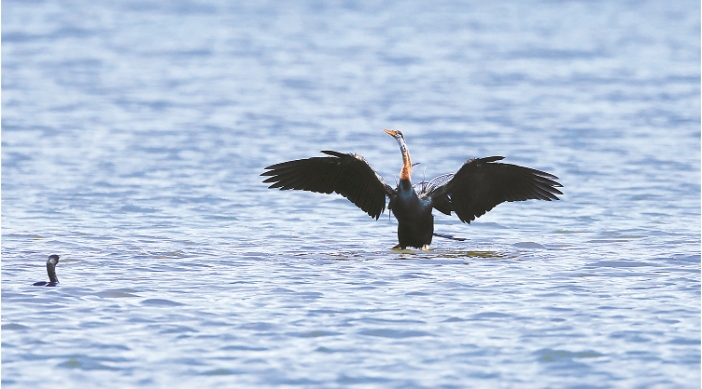 呼朋唤友.png 呼朋唤友.png