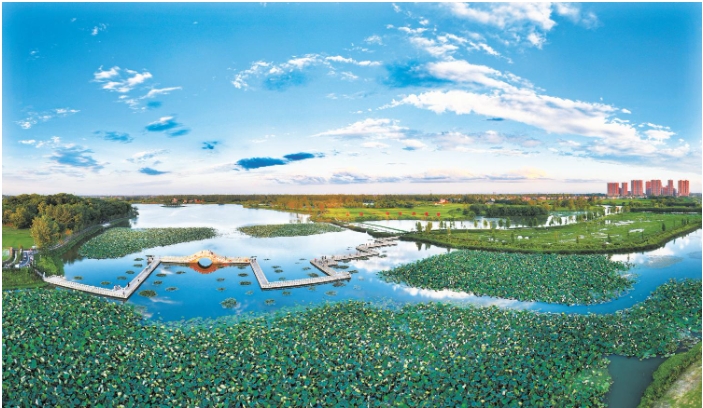 近日,在安徽省芜湖市弋江区火龙街道善瑞村,“.png 近日,在安徽省芜湖市弋江区火龙街道善瑞村,“.png