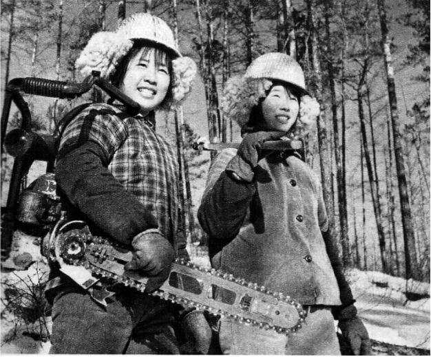 女油锯手采伐树木.png 女油锯手采伐树木.png