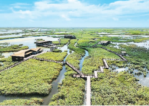 上海崇明东滩鸟类国家级自然保护区俯瞰图.png