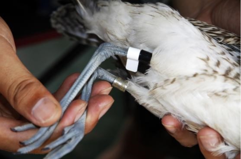 2024年9月,.png 2024年9月,.png