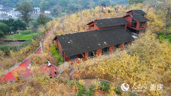 重庆市北碚区静观镇蜡梅园,.png 重庆市北碚区静观镇蜡梅园,.png