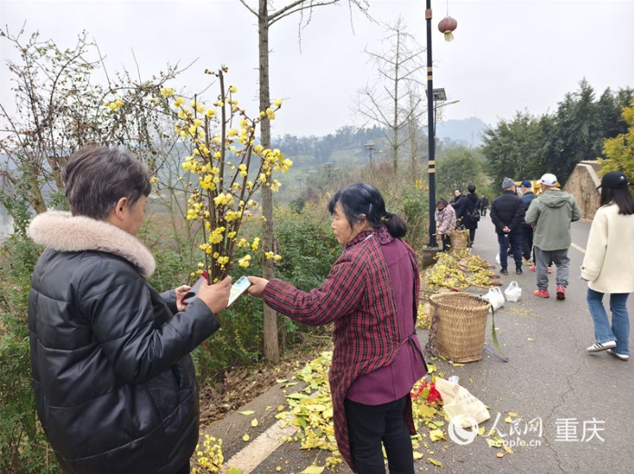 重庆市北碚区静观镇,.png 重庆市北碚区静观镇,.png