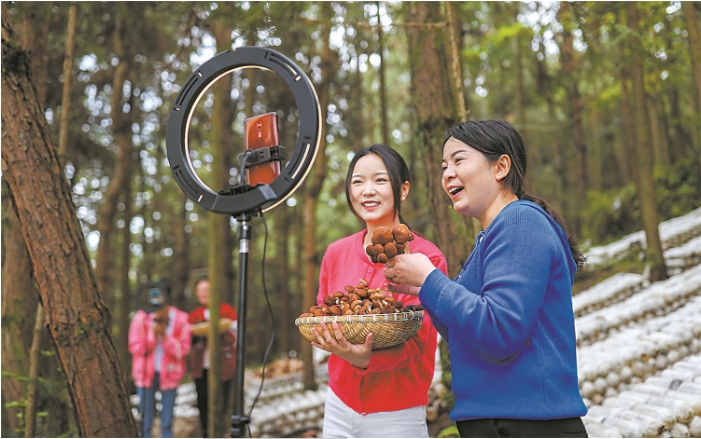 林下菌菇种植基地直.png 林下菌菇种植基地直.png